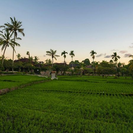 Agung Raka Villa Ubud  Exterior photo