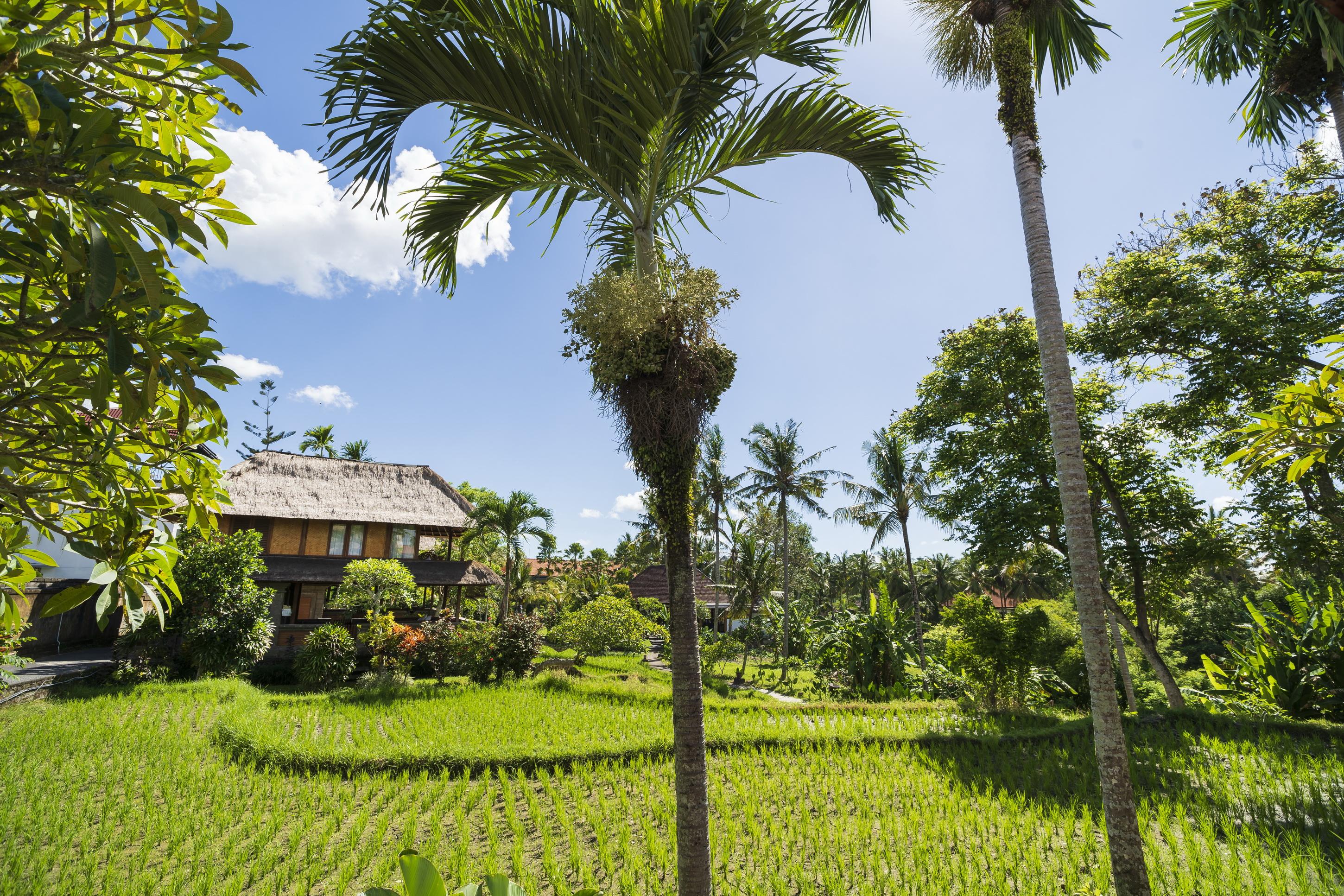 Agung Raka Villa Ubud  Exterior photo