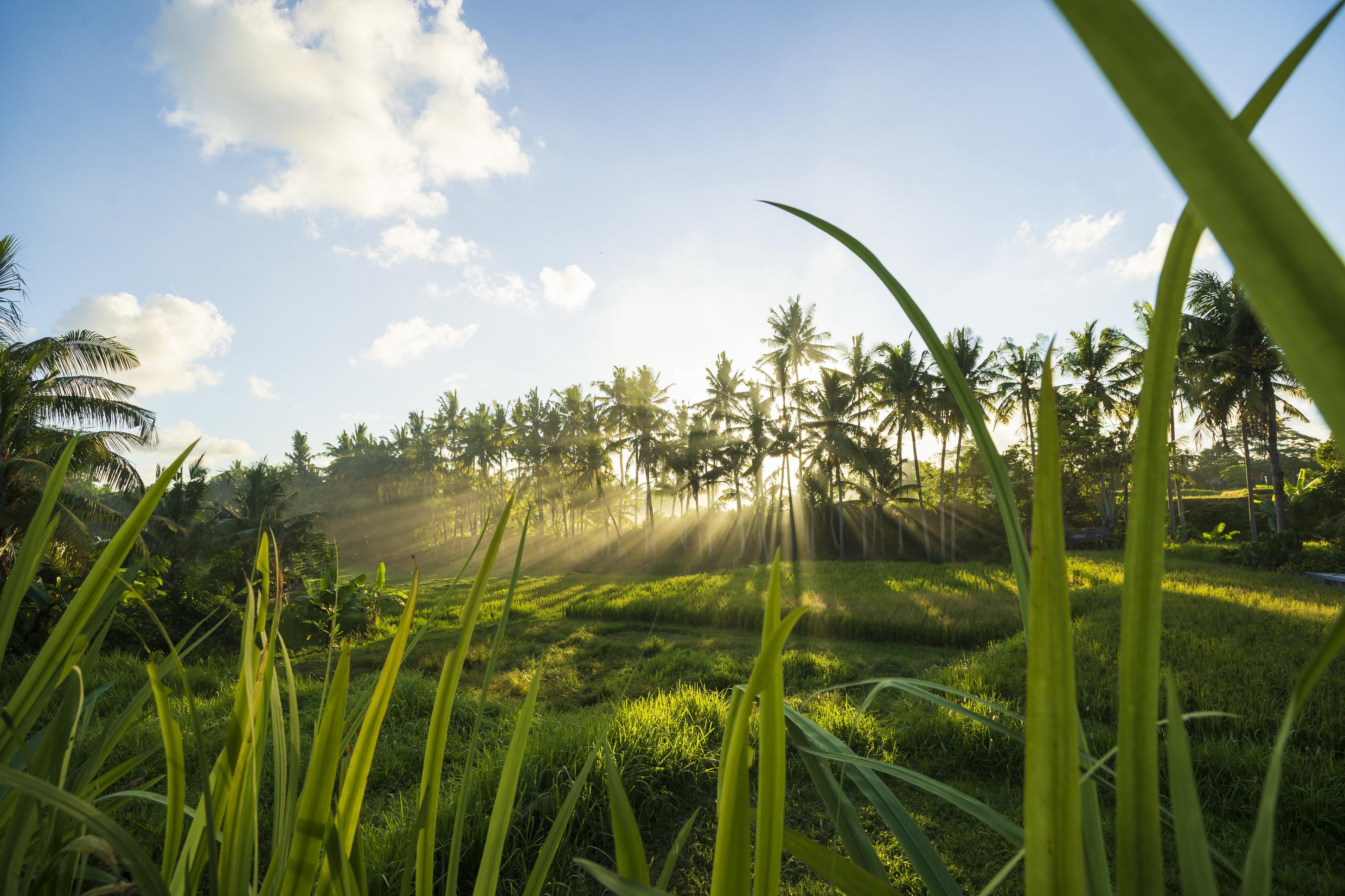Agung Raka Villa Ubud  Exterior photo